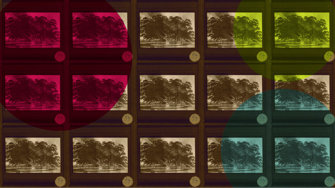 Background image with trees